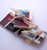 freddy Brideswell Book